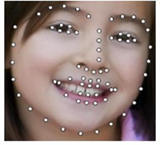 Face Recognition dimension measures